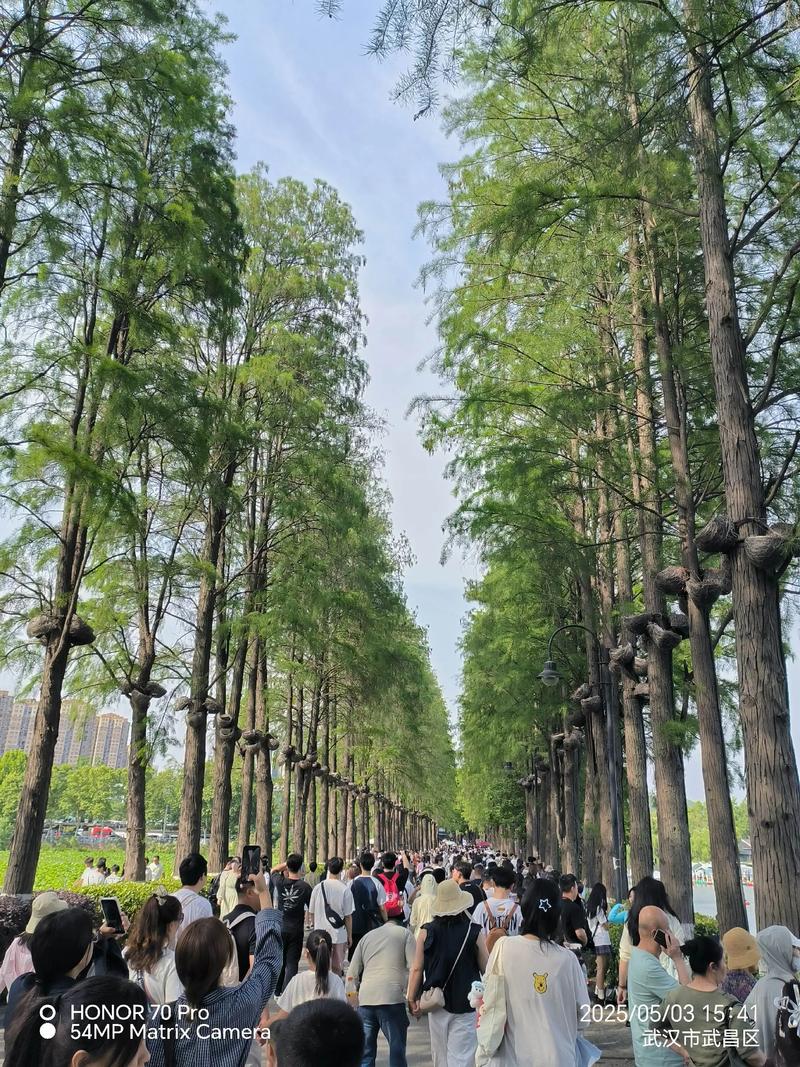 武汉休闲哪里好_武汉市内休闲好去处_武汉休闲景点