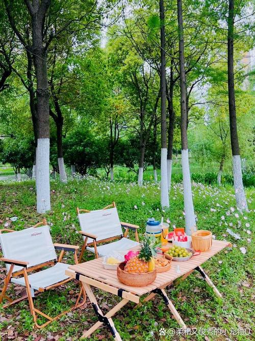 武汉周末去哪玩？分享治愈系休闲体验，开启你的慢生活