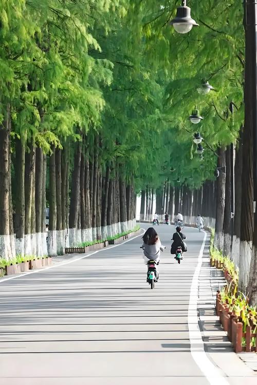 武汉休闲效果好不好_武汉休闲效果好不好_武汉休闲效果好不好